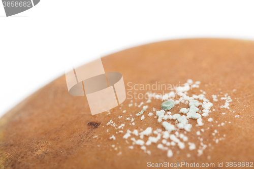 Image of Pear with white area of fungus growing on it, selective focus