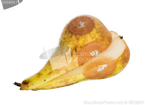 Image of Close up of a pear with white area of fungus growing on it, sele