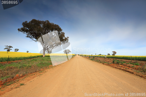 Image of Country road through rural farmland