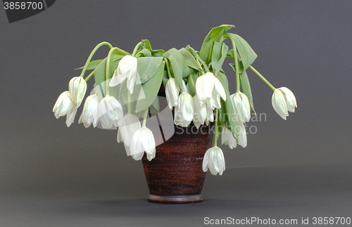 Image of Vase full of droopy and dead flowers