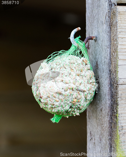 Image of Tallow bird food