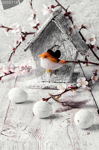 Image of Bird and birdhouse