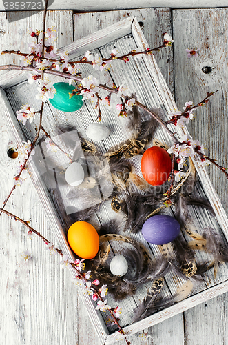 Image of Painted eggs for the holiday