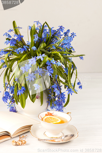 Image of Tea with  lemon and bouquet of  blue primroses on the table