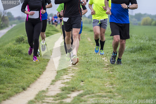 Image of Marathon cross-country running