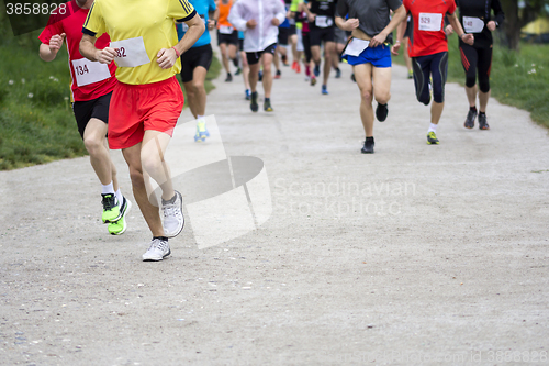 Image of Marathon cross-country running