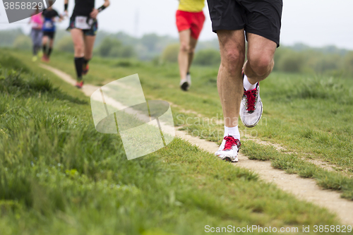 Image of Marathon cross-country running