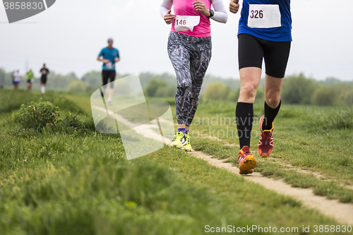 Image of Marathon cross-country running