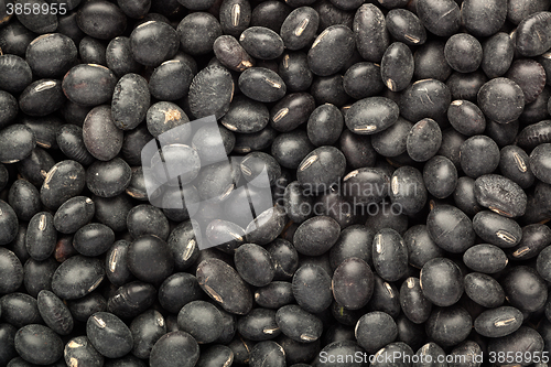 Image of Black turtle bean