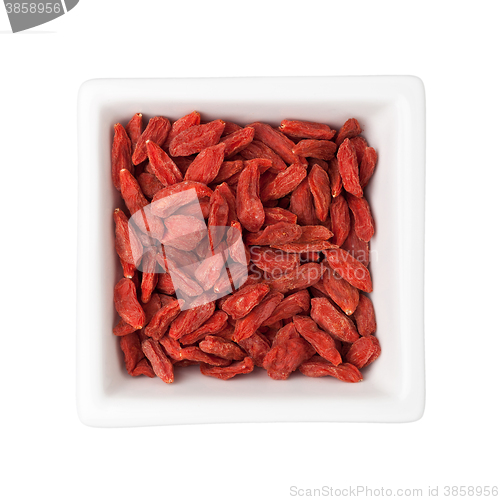 Image of Traditional Chinese Medicine - Dried Goji berry