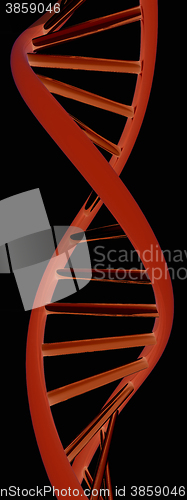 Image of DNA structure model