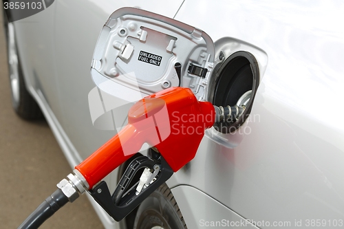 Image of Fuel Station Nozzle