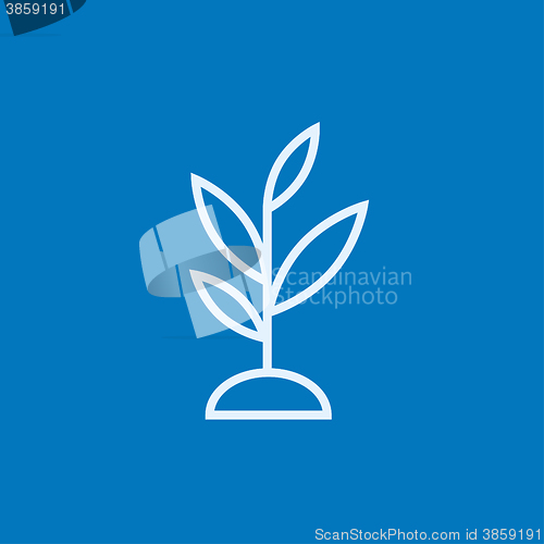 Image of Sprout line icon.