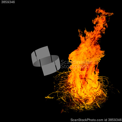 Image of Bonfire in the night