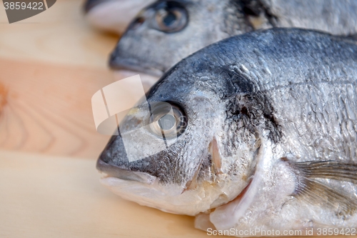 Image of Cooking fish on the grill