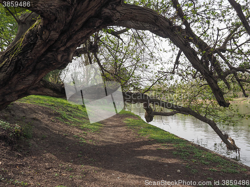 Image of River Po in Turin