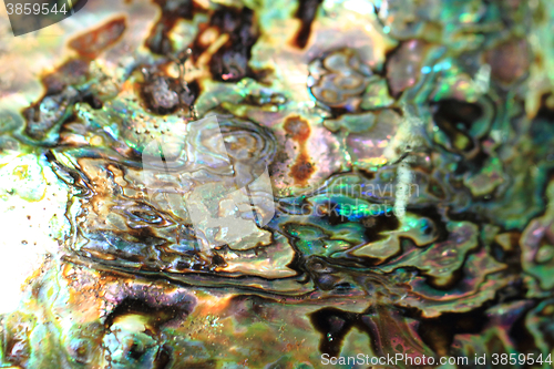Image of luxury pearl texture 