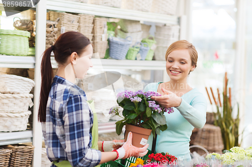 Image of happy women choosing flowers in greenhouse or shop