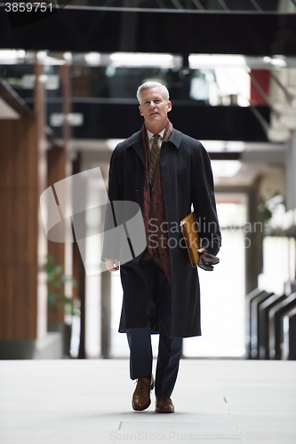 Image of handsome senior business man walking