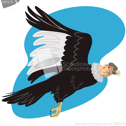 Image of Andean condor in flight