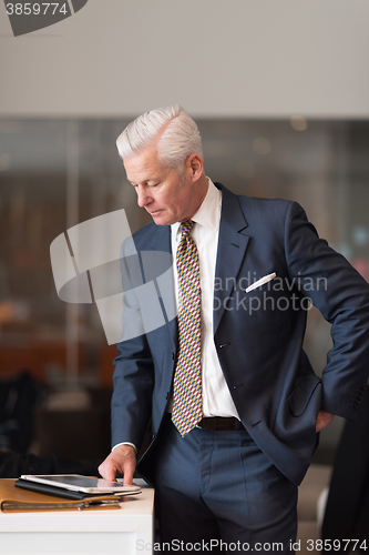 Image of senior business man reading reports