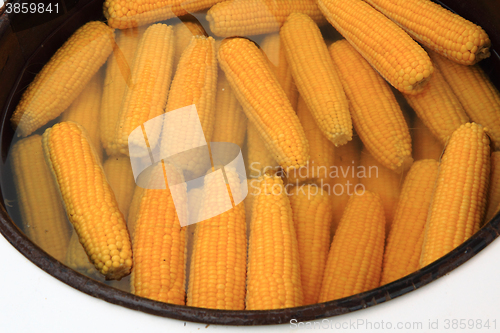 Image of sweet corn cooking