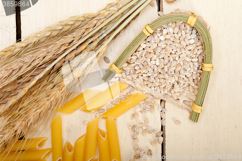 Image of Italian pasta penne with wheat