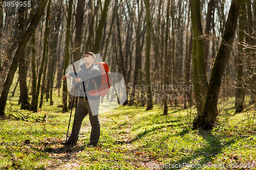 Image of Active healthy man hiking in beautiful forest