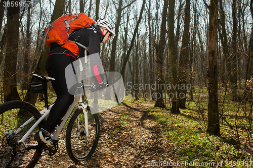 Image of Mountain biker riding on bike in springforest landscape. 