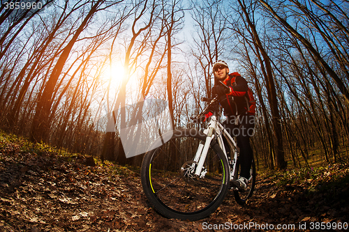 Image of Cyclist Riding the Bike