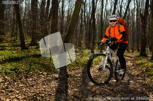 Image of Mountain biker riding on bike in springforest landscape. 