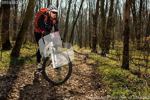 Image of Mountain biker riding on bike in springforest landscape. 