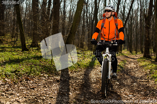 Image of Mountain biker riding on bike in springforest landscape. 