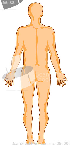 Image of Human Anatomy