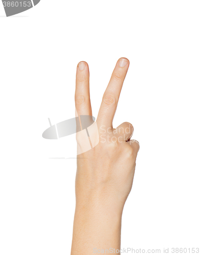 Image of close up of hand showing peace or victory sign