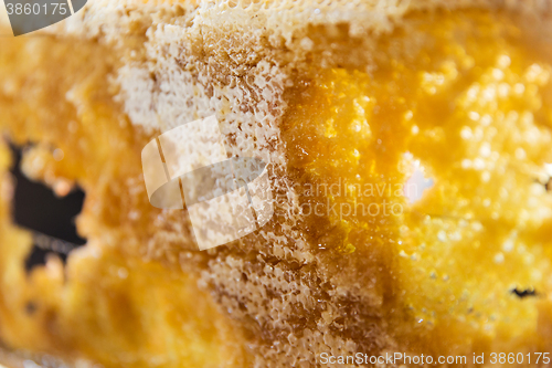 Image of close up of honey in honeycomb