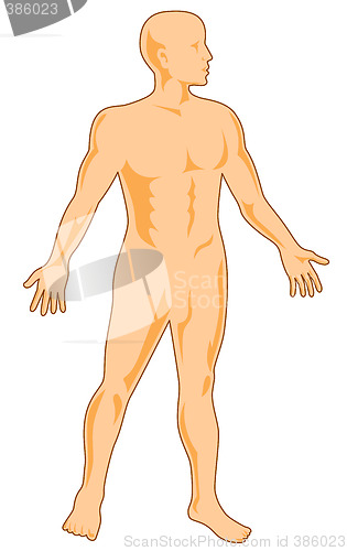 Image of Human figure