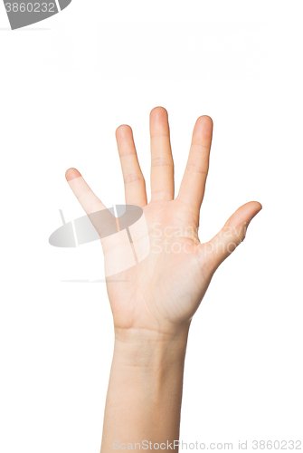 Image of close up of hand showing five fingers