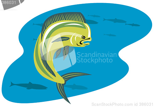 Image of Dorado dolphin fish