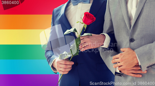 Image of close up of happy male gay couple holding hands