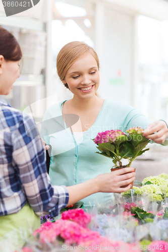 Image of happy women choosing flowers in greenhouse or shop