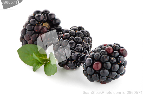 Image of Blackberrie with leaf