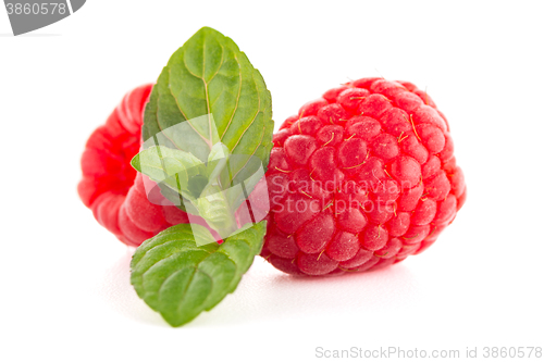 Image of Raspberry fruit isolated
