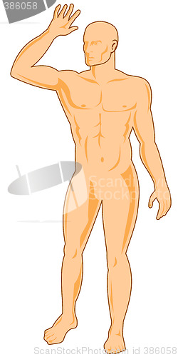 Image of Human Anatomy