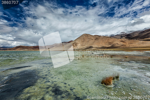 Image of Mountain lake Tso Kar in Himalayas