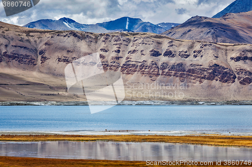 Image of Mountain lake Tso Kar in Himalayas