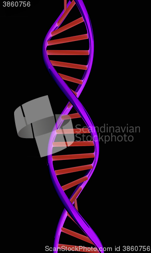 Image of DNA structure model