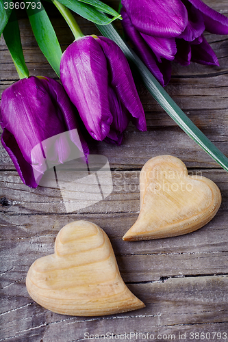 Image of Tulip and hearts