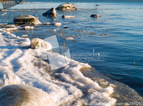 Image of Spring Sea