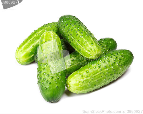 Image of Green cucumber isolated